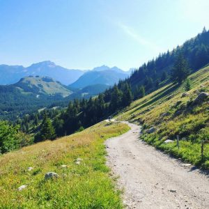 serenity-herbal-detox-elixir